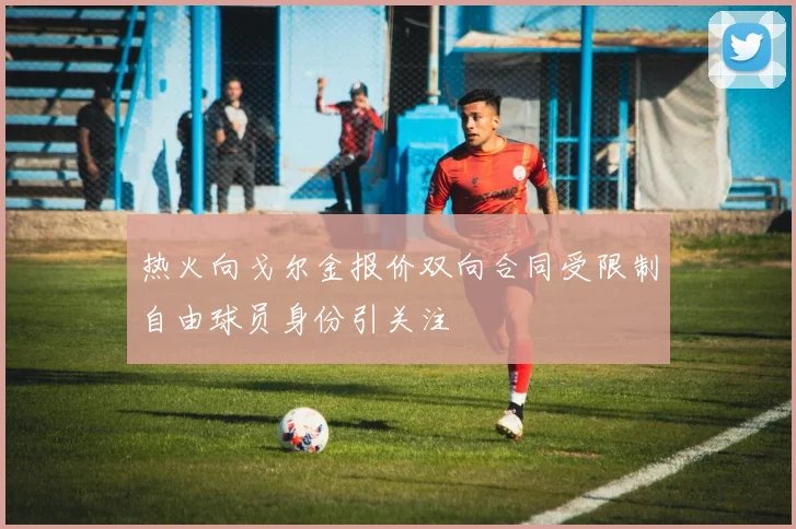 热火向戈尔金报价双向合同受限制自由球员身份引关注