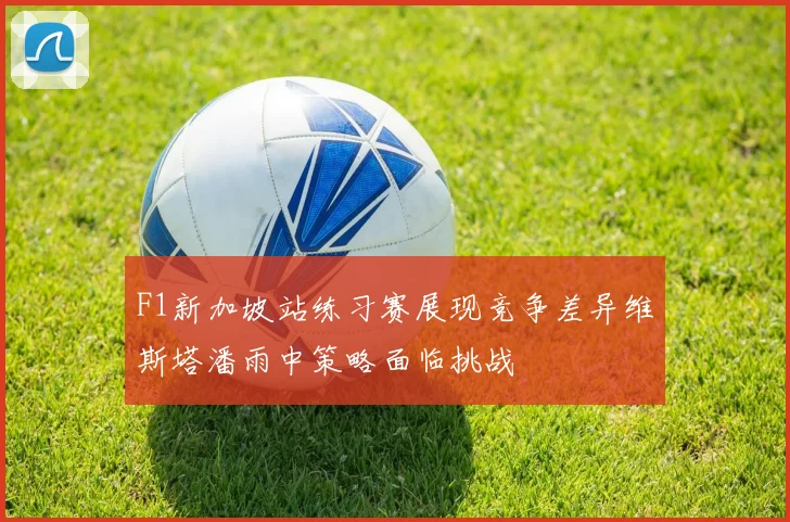 F1新加坡站练习赛展现竞争差异维斯塔潘雨中策略面临挑战
